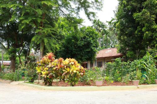 Cane Anpaalayam